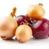 Onions and red onions isolated on white background