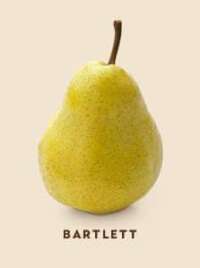 Pears Bartlett