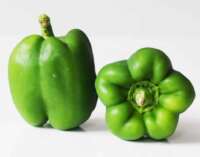 Green Pepper